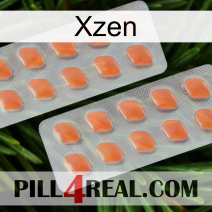 Xzen 27